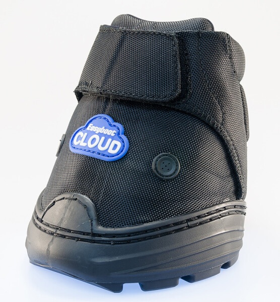 Easyboot Cloud