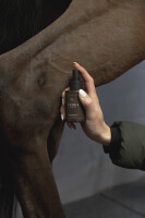 Frido Silberspray 100 ml 2