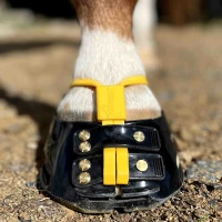 Scoot Boot Mud Strap Set ( 2 Stück inkl.